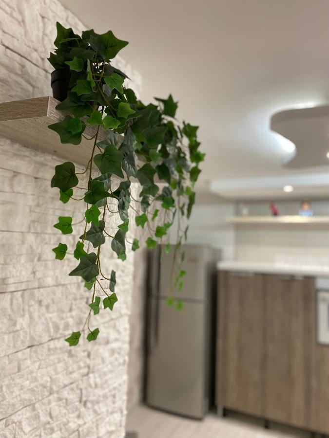 Daly Home Intero Appartamento Mugnano di Napoli エクステリア 写真