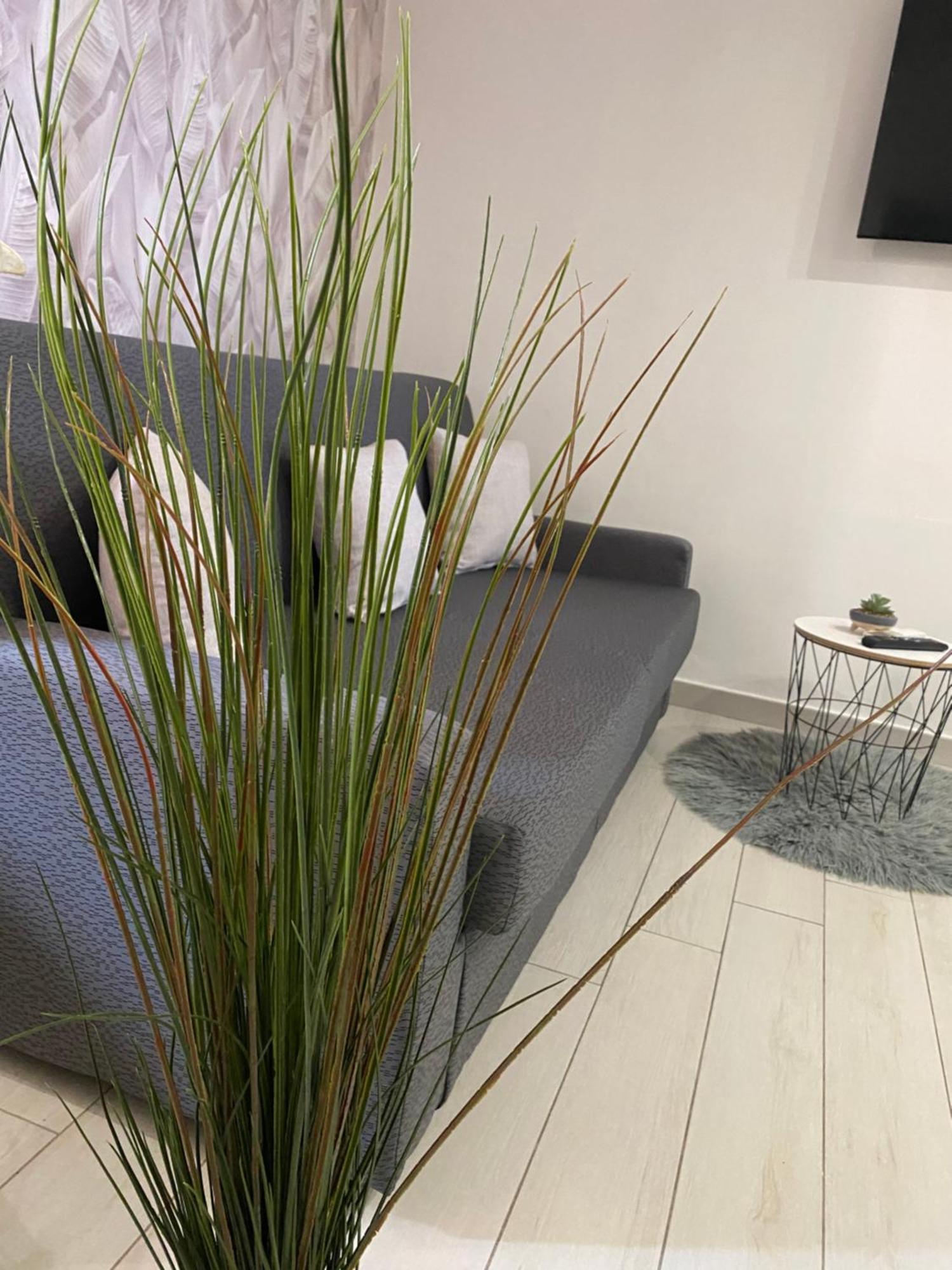 Daly Home Intero Appartamento Mugnano di Napoli エクステリア 写真